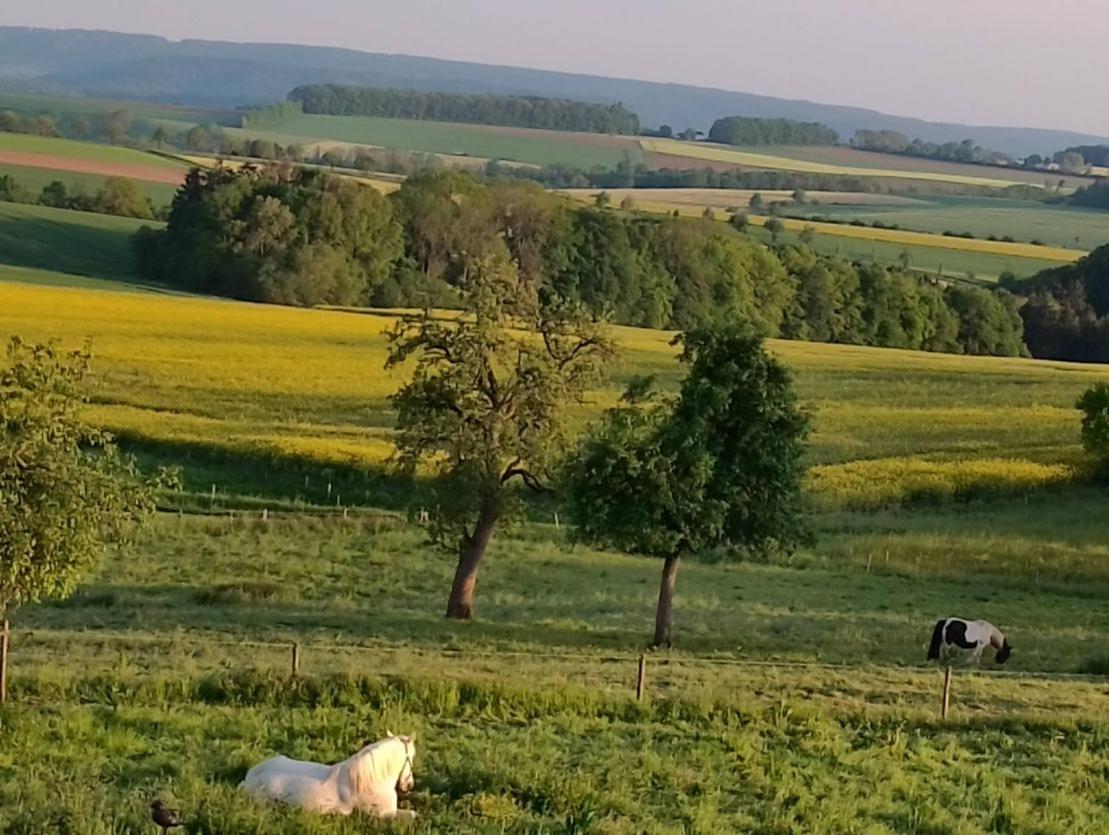 B&B Gutshaus De La Fontaine Feilsdorf Exteriör bild